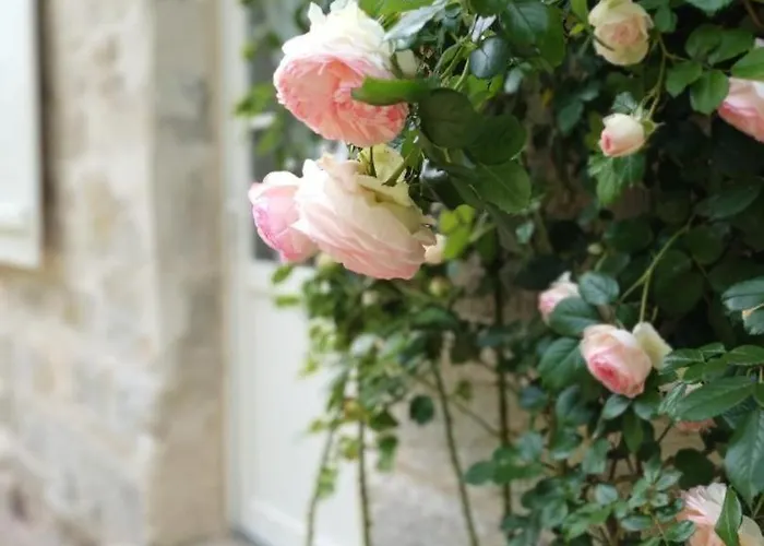 La Belle Aux Bois Vakantiehuis *